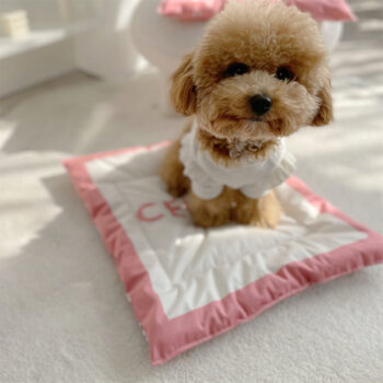 Dog Bed Celine - 2025 - Puppy Streetwear Shop Dog Bed Celine - 2025 - Puppy Streetwear Shop