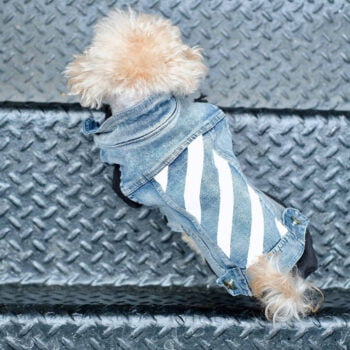 Dog Jacket - 2025 - Puppy Streetwear Shop