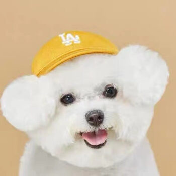 Dog Caps - 2025 - Puppy Streetwear Shop
