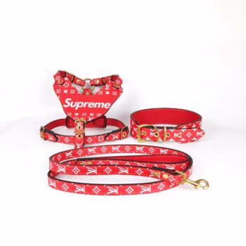 Dog Collar Harness Louis Pawtton - 2025 - Puppy Streetwear Shop
