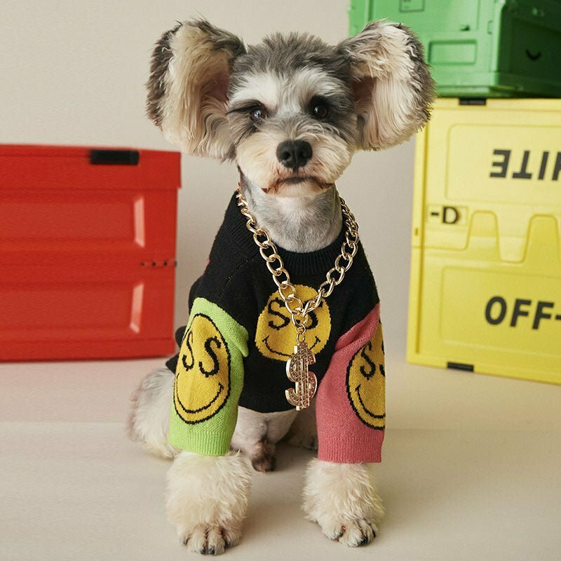 Dog Chain - 2025 - Puppy Streetwear Shop