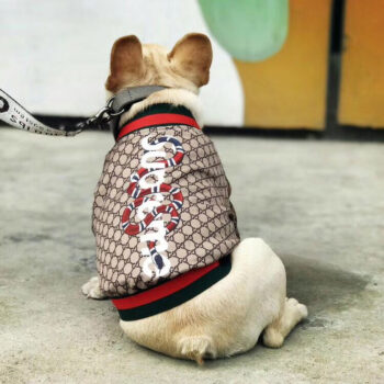 Dog Jacket Pawcci - 2026 - Puppy Streetwear Shop