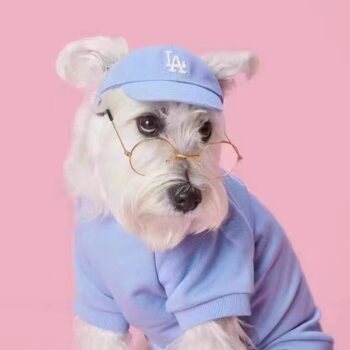 Dog Caps - 2025 - Puppy Streetwear Shop
