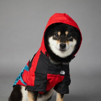 Dog Hoodies The North Face - 2025 - Puppy Streetwear Shop