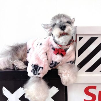 Dog Jacket Celine - 2025 - Puppy Streetwear Shop