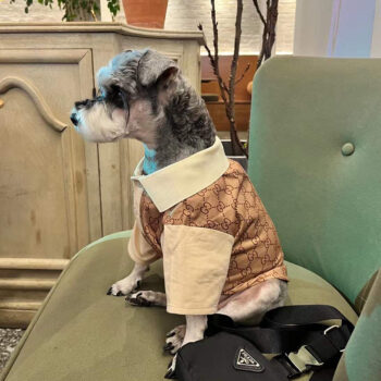 Dog Tshirt Pawcci - 2026 - Puppy Streetwear Shop