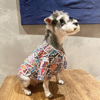 Dog Shirt Fendi - 2025 - Puppy Streetwear Shop
