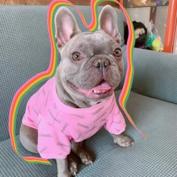 Dog Sweater Chanel - 2025 - Puppy Streetwear Shop