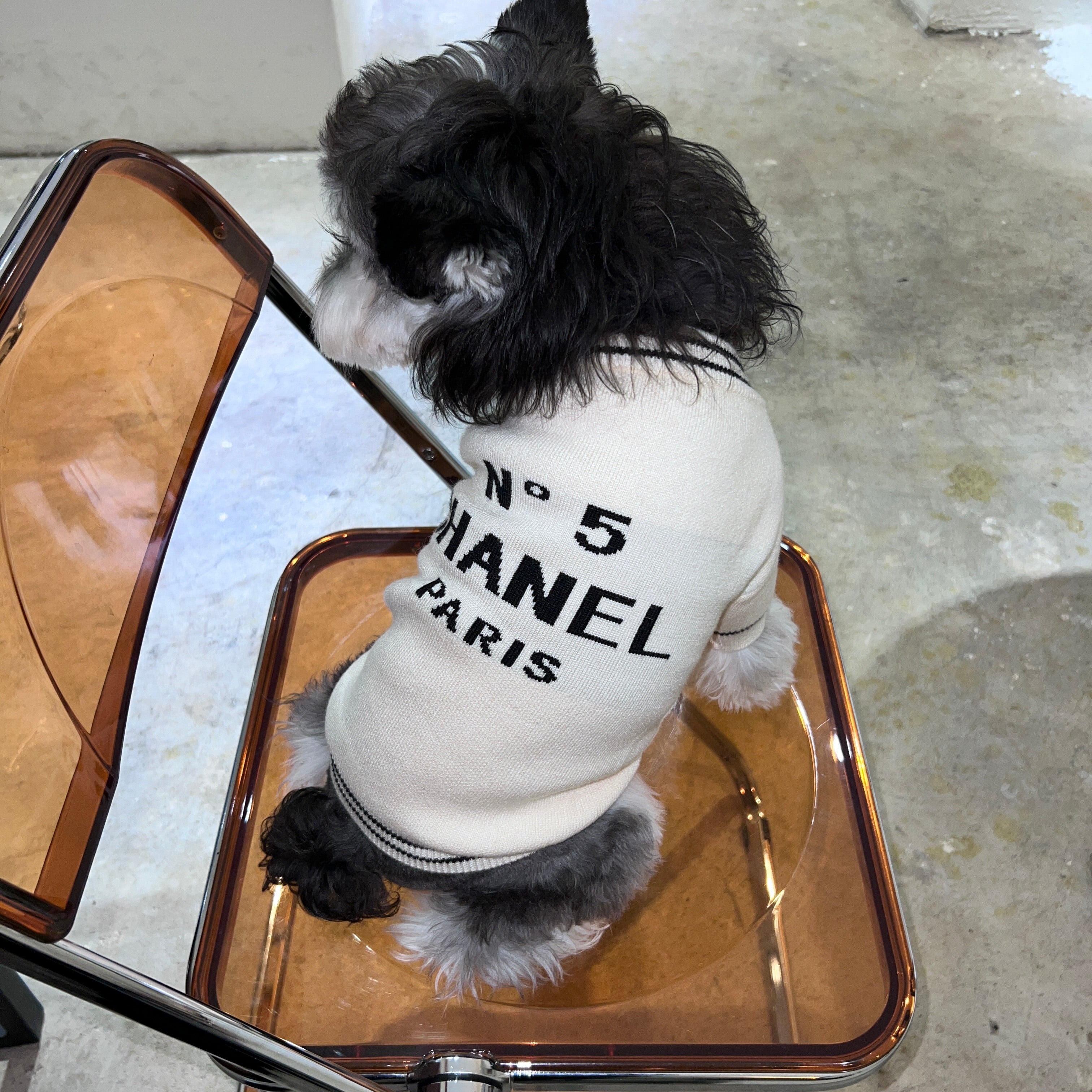 Dog Sweater Chanel - 2024 - Puppy Streetwear Shop