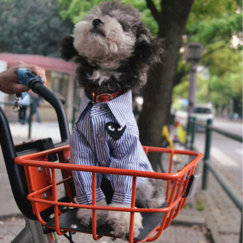 Dog Shirt CDG - 2025 - Puppy Streetwear Shop