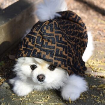 Dog Jacket Fendi - 2025 - Puppy Streetwear Shop