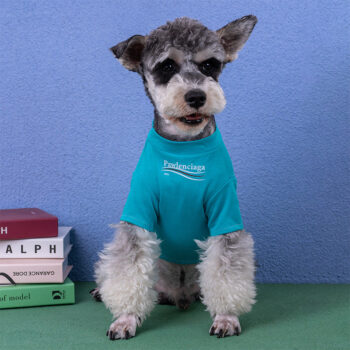 Dog Tshirt Balenciaga - 2025 - Puppy Streetwear Shop