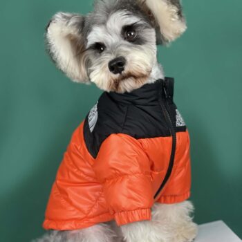 Dog Jacket The Dog Face - 2025 - Puppy Streetwear Shop Dog Jacket The Dog Face - 2025 - Puppy Streetwear Shop