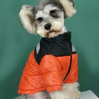 Dog Jacket The North Face - 2026 - Puppy Streetwear Shop