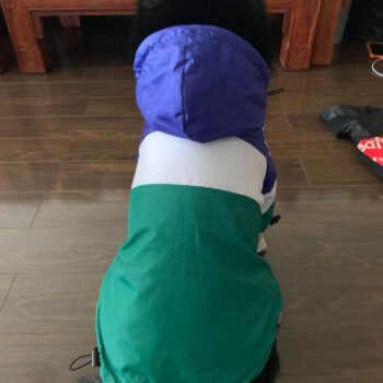 Dog Hoodies Adidas - 2025 - Puppy Streetwear Shop Dog Hoodies Adidas - 2025 - Puppy Streetwear Shop