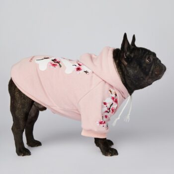 Dog Hoodies Woof - 2025 - Puppy Streetwear Shop