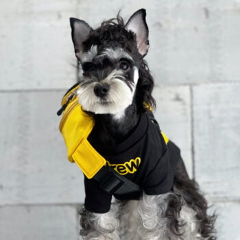 Dog Tshirt - 2025 - Puppy Streetwear Shop