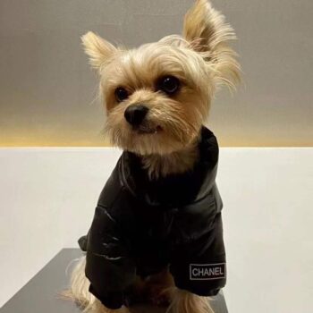 Dog Jacket Chanel - 2025 - Puppy Streetwear Shop