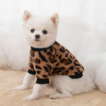Dog Sweatshirt Louis Pawtton - 2025 - Puppy Streetwear Shop