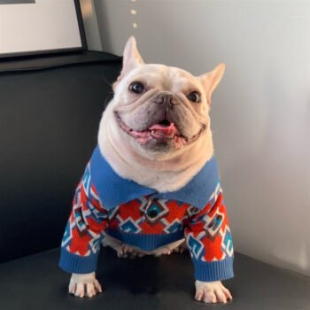 Dog Sweater Pawcci - 2026 - Puppy Streetwear Shop