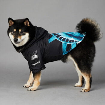 Dog Hoodies The North Face - 2025 - Puppy Streetwear Shop