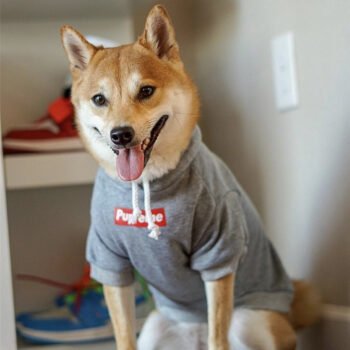 Dog Hoodies Supreme - 2026 - Puppy Streetwear Shop