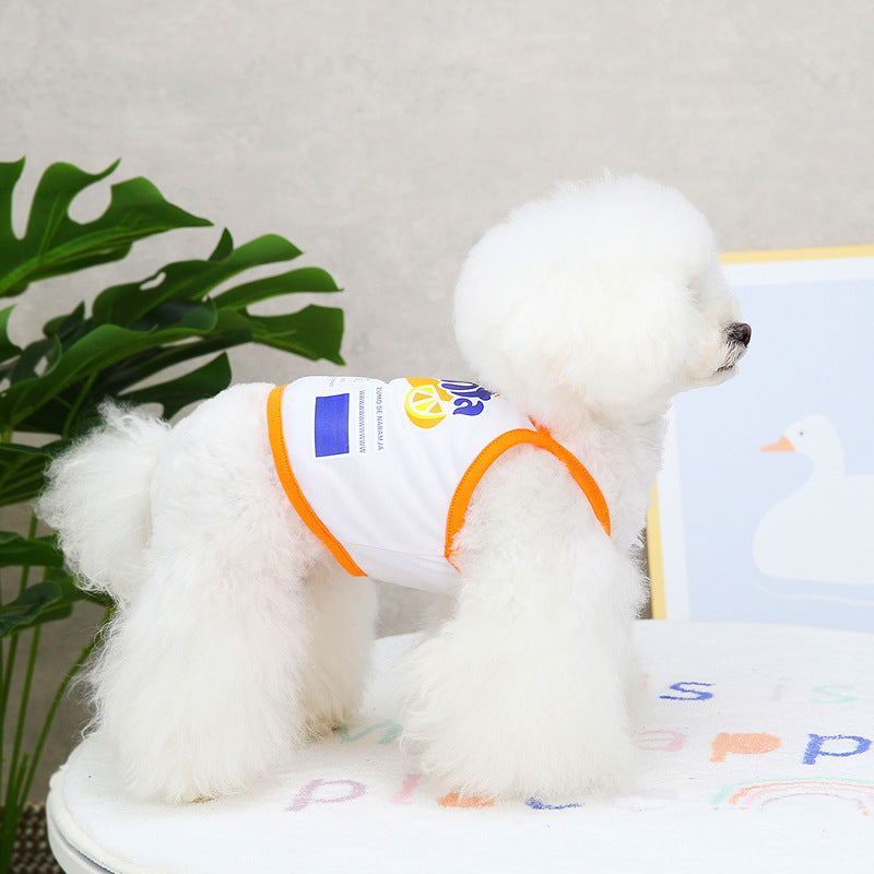 Designer Dog Vest Fanta - 2023 - Puppy Streetwear Shop