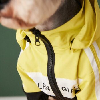Dog Jacket Balenciaga - 2025 - Puppy Streetwear Shop Dog Jacket Balenciaga - 2025 - Puppy Streetwear Shop
