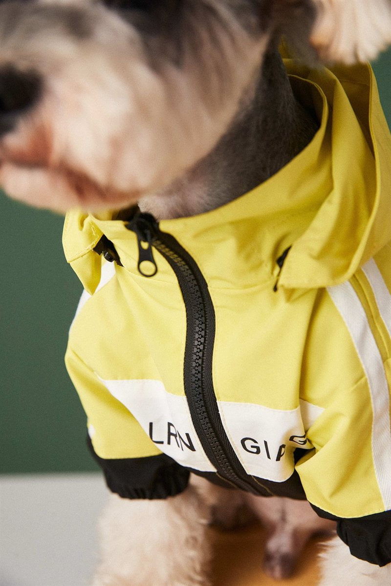 Dog Jacket Balenciaga - 2024 - Puppy Streetwear Shop