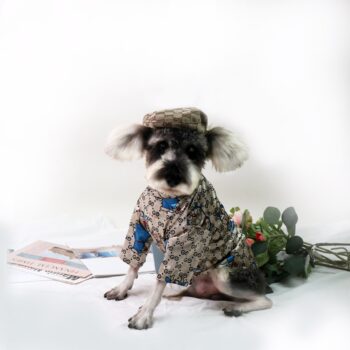 Dog Tshirt Pawcci - 2026 - Puppy Streetwear Shop