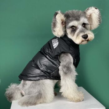 Dog Jacket The Dog Face - 2025 - Puppy Streetwear Shop Dog Jacket The Dog Face - 2025 - Puppy Streetwear Shop