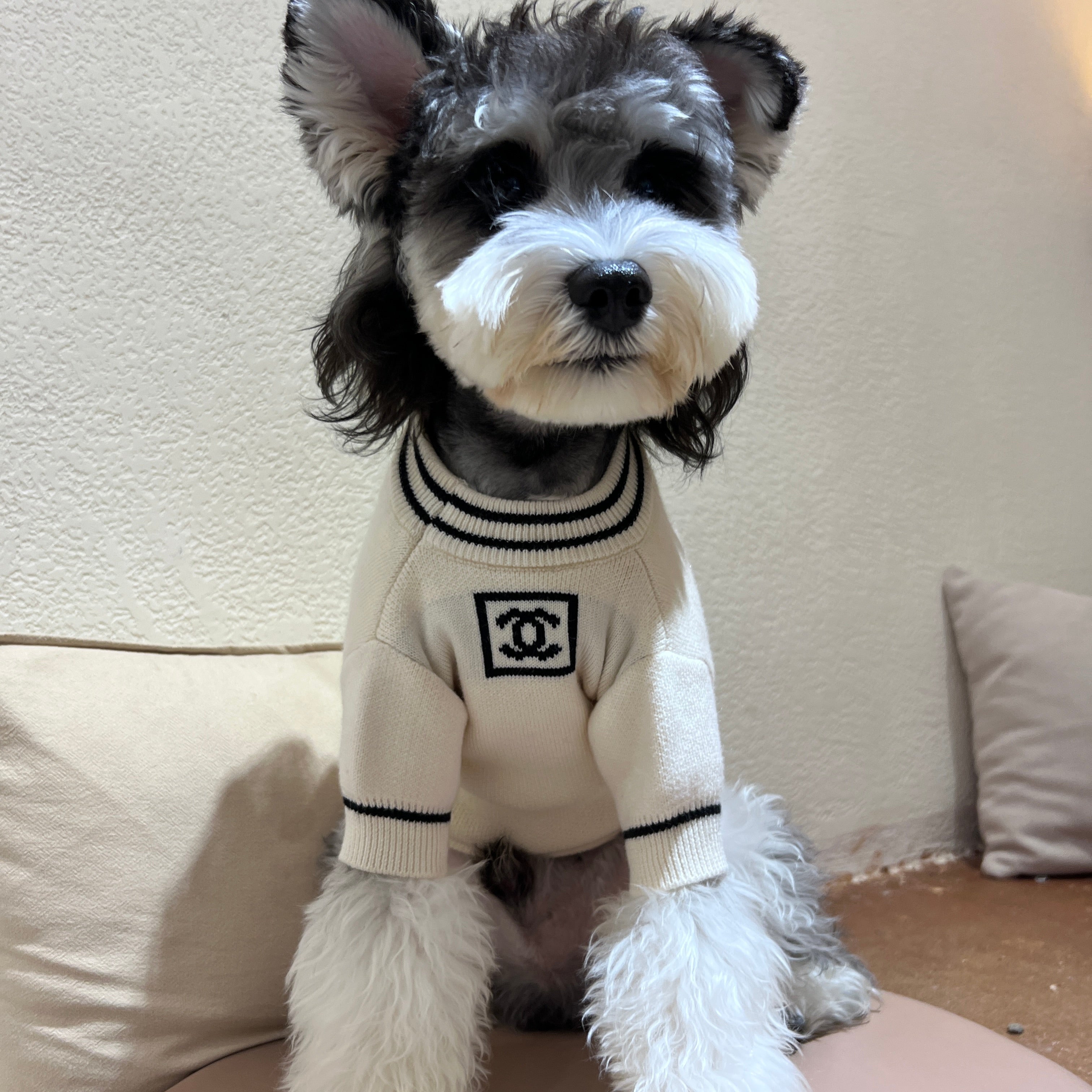 Designer Dog Sweater Chanel - 2023 - Puppy Streetwear Shop