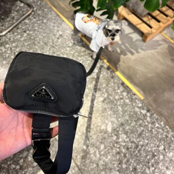 Dog Collar Harness Prada - 2025 - Puppy Streetwear Shop