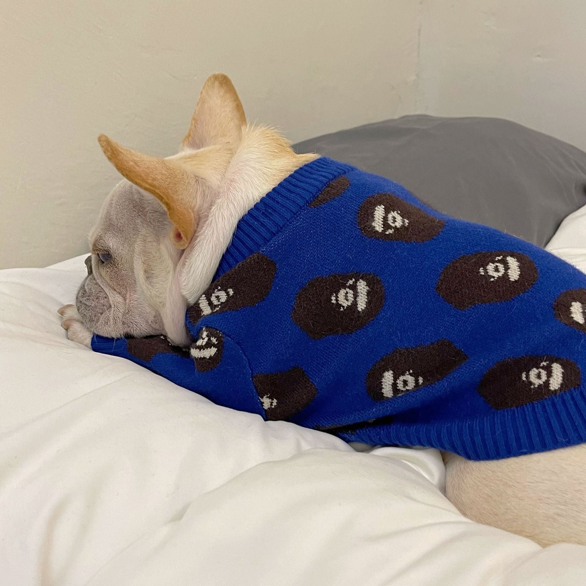 Designer Dog Sweater Bape - 2023 - Puppy Streetwear Shop