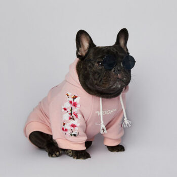 Dog Hoodies Woof - 2025 - Puppy Streetwear Shop