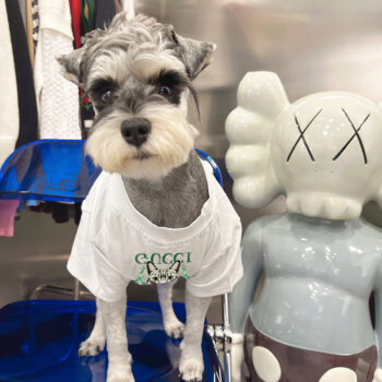 Dog Tshirt Pawcci - 2026 - Puppy Streetwear Shop