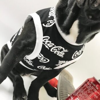 Dog Vest Coca Cola - 2025 - Puppy Streetwear Shop