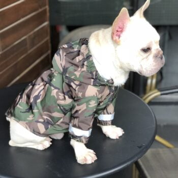 Dog Jacket Bape - 2025 - Puppy Streetwear Shop