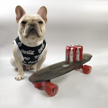 Dog Vest Coca Cola - 2025 - Puppy Streetwear Shop