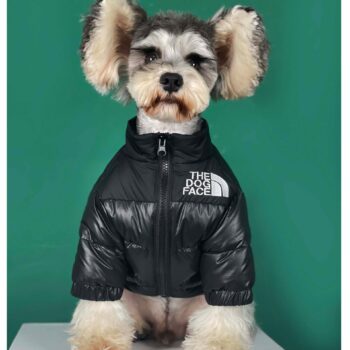 Dog Jacket The Dog Face - 2025 - Puppy Streetwear Shop Dog Jacket The Dog Face - 2025 - Puppy Streetwear Shop