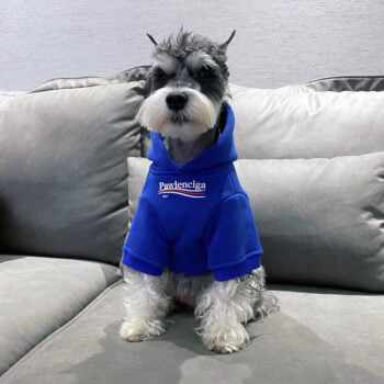 Dog Hoodies Balenciaga - 2026 - Puppy Streetwear Shop