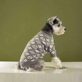 Dog Sweater Louis Pawtton - 2026 - Puppy Streetwear Shop