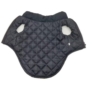 Dog Jacket Dior - 2026 - Puppy Streetwear Shop