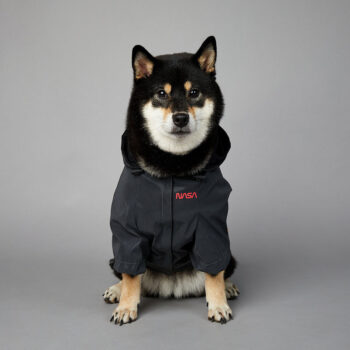 Dog Jacket Nasa - 2025 - Puppy Streetwear Shop