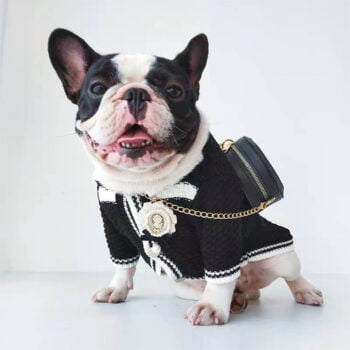 Dog Sweater Chanel - 2025 - Puppy Streetwear Shop