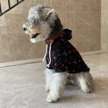 Dog Hoodies Louis Pawtton - 2025 - Puppy Streetwear Shop