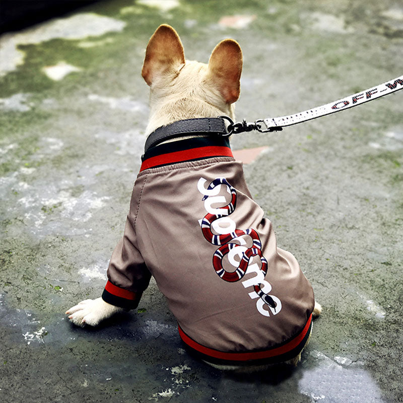 Designer Dog Jacket Gucci - 2023 - Puppy Streetwear Shop