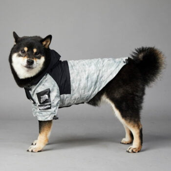 Dog Hoodies The North Face - 2026 - Puppy Streetwear Shop