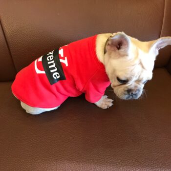 Dog Hoodies Louis Pawtton - 2025 - Puppy Streetwear Shop