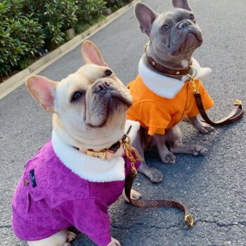 Dog Jacket - 2025 - Puppy Streetwear Shop